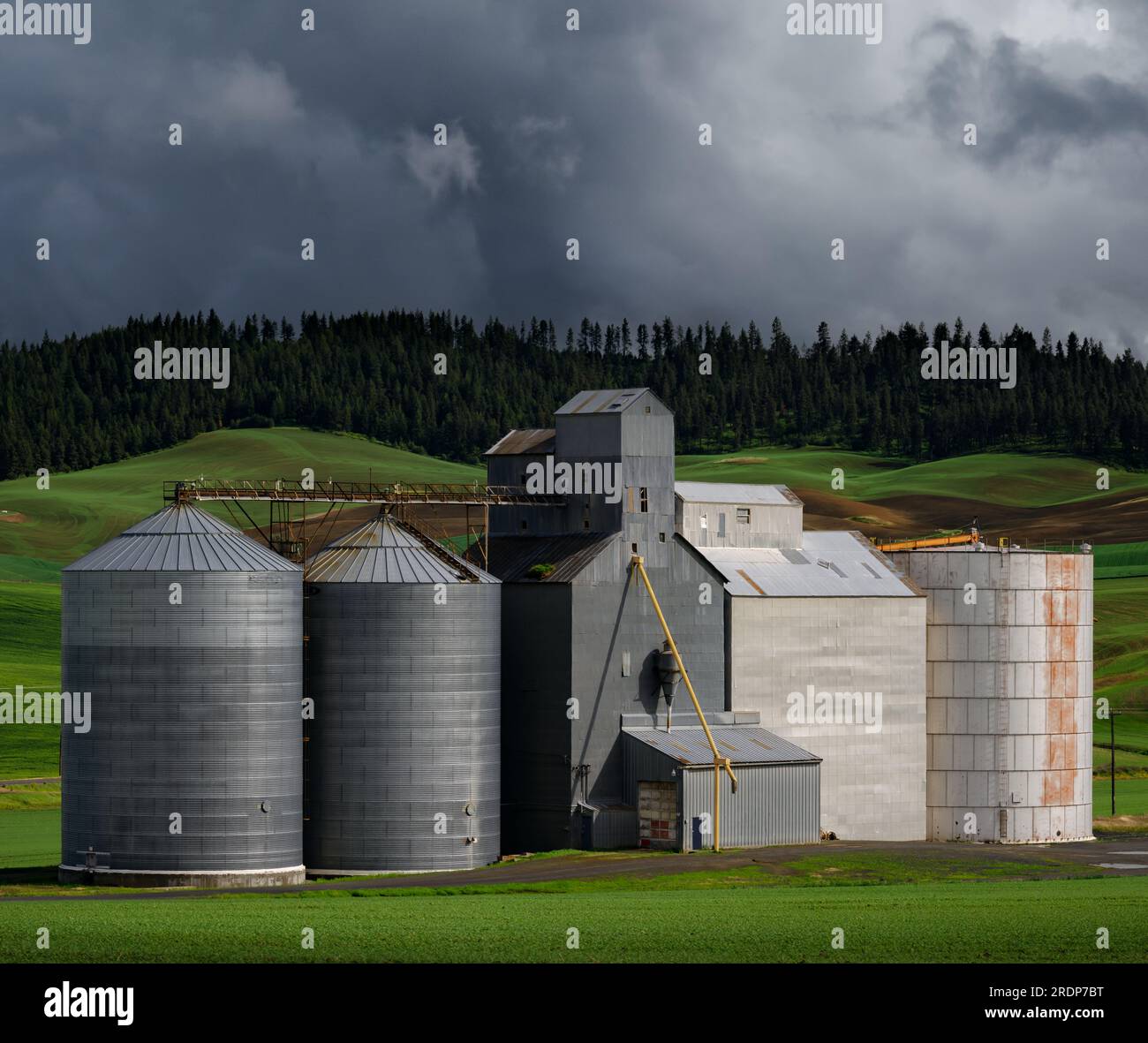 Palouse grain elevators wheat field hires stock photography and images