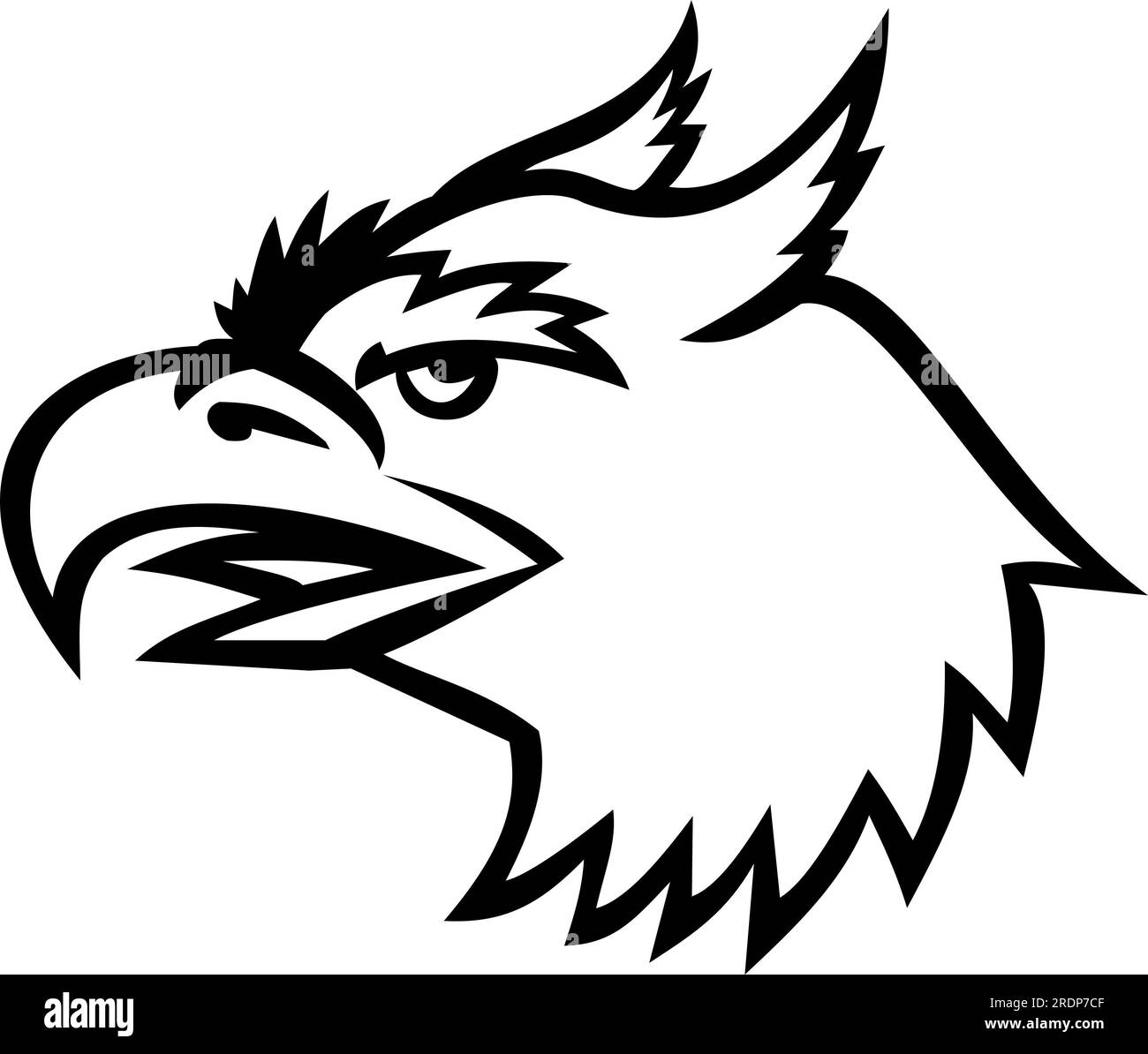 Mascot illustration of head of a head of a roc, an enormous legendary bird of prey in the popular mythology of the Middle East viewed from side on iso Stock Photo