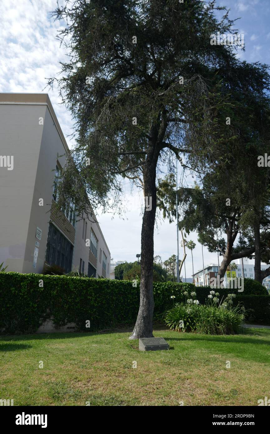 Hollywood High School Stock Photo - Alamy