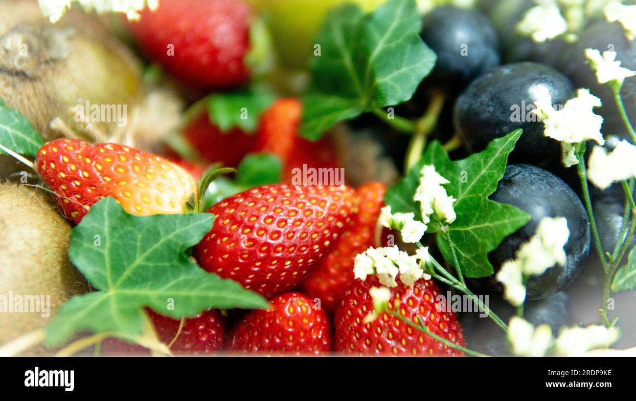 Selective focus of Composition of various exotic fruits isolated ...