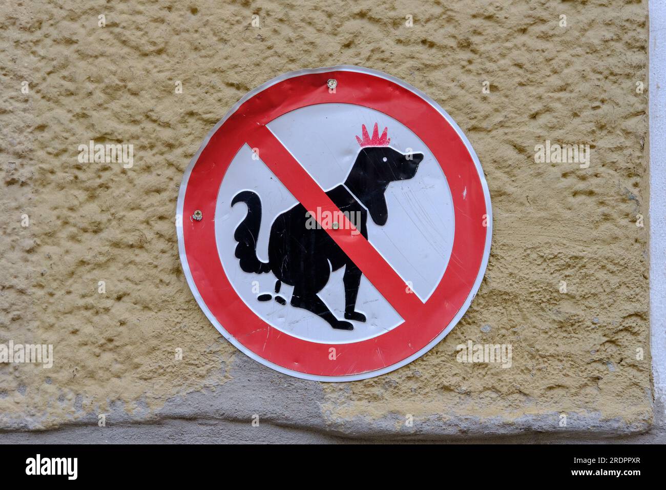 No dogs sign in the streets of Berlin ironically adorned with a mohawk punk outfit. Stock Photo