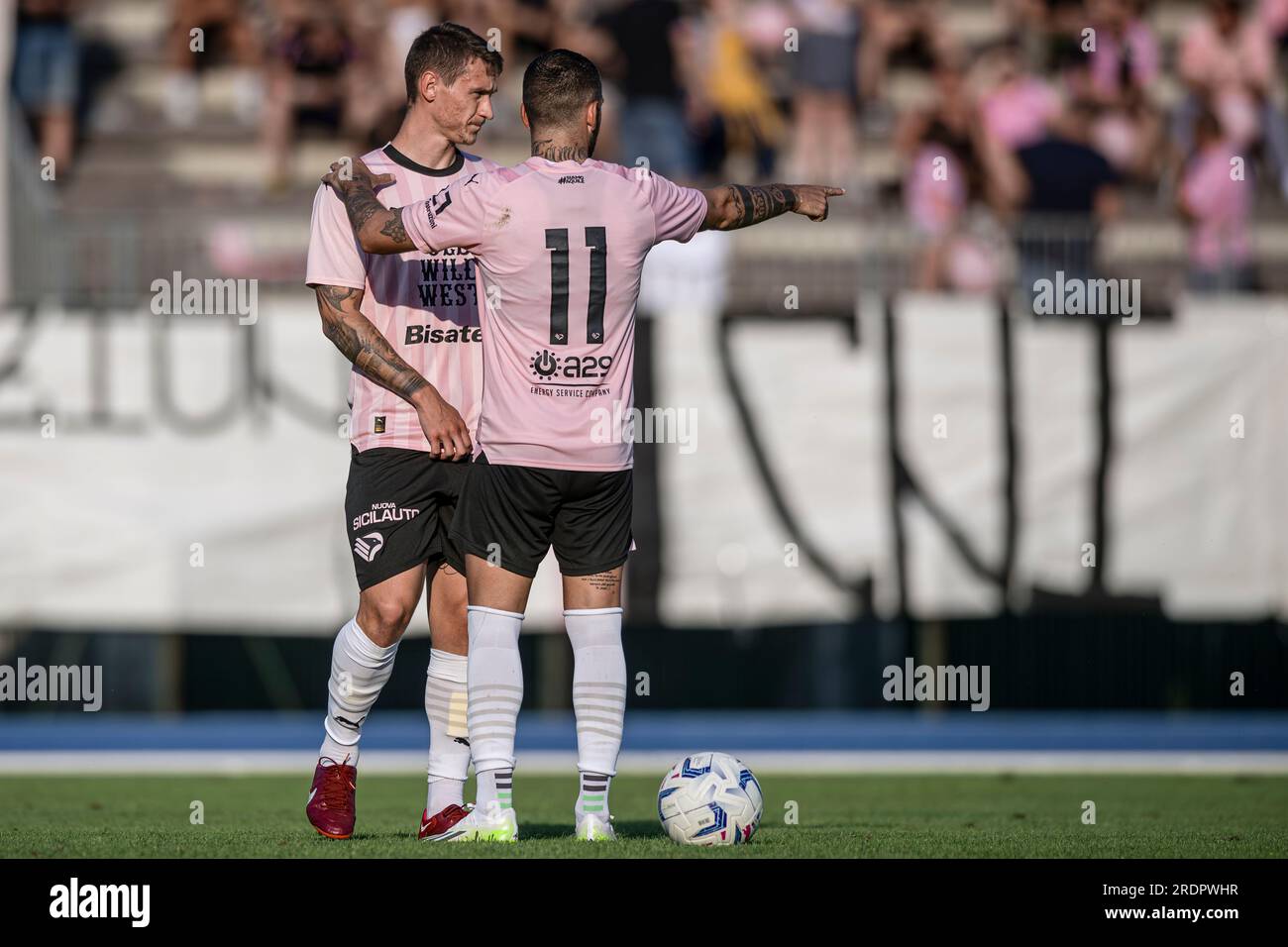 Football Italy - League Serie B BKT 2019-2020 / ( Empoli Football Club ) -  Alberto Brignoli Stock Photo - Alamy