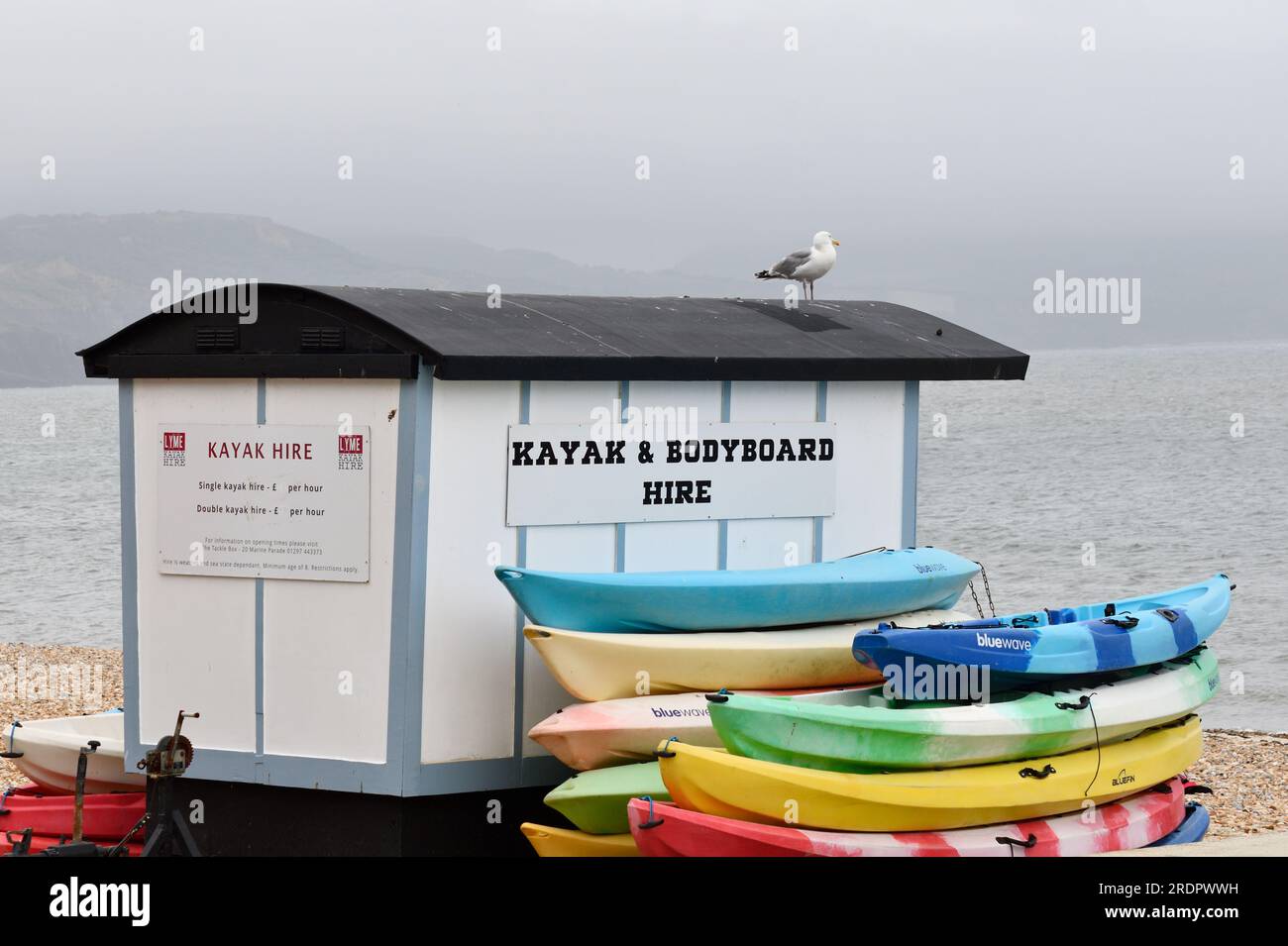 Kayak and Bodyboard Hire Lyme Bay Lyme Regis Dorset England uk Stock