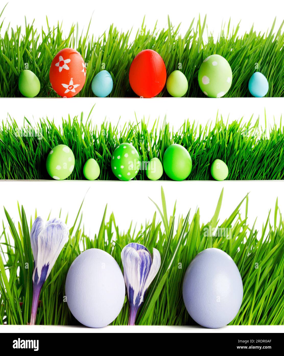Set of easter eggs in fresh green grass isolated on white background ...