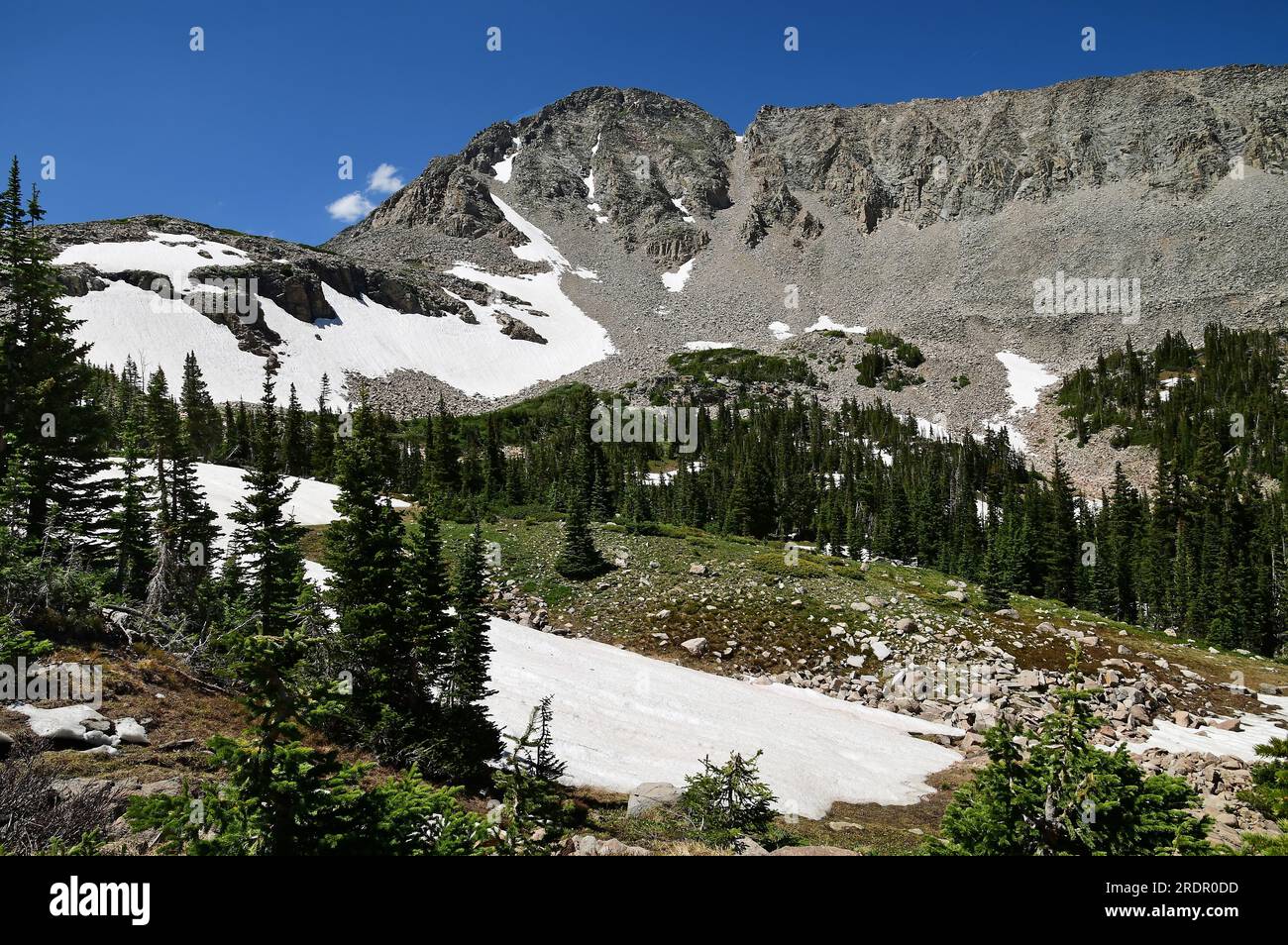 picturesque mount audobon, forest and  snow fields  on a  sunny summer day on the trail up to blue lake  in the indian peaks wilderness area, colorado Stock Photo
