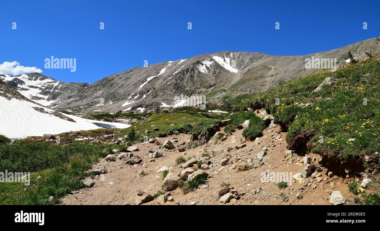 picturesque  mountain peaks and wildflowers on a sunny summer day along the hiking trail to blue lake, in the indian peaks wilderness area, colorado Stock Photo