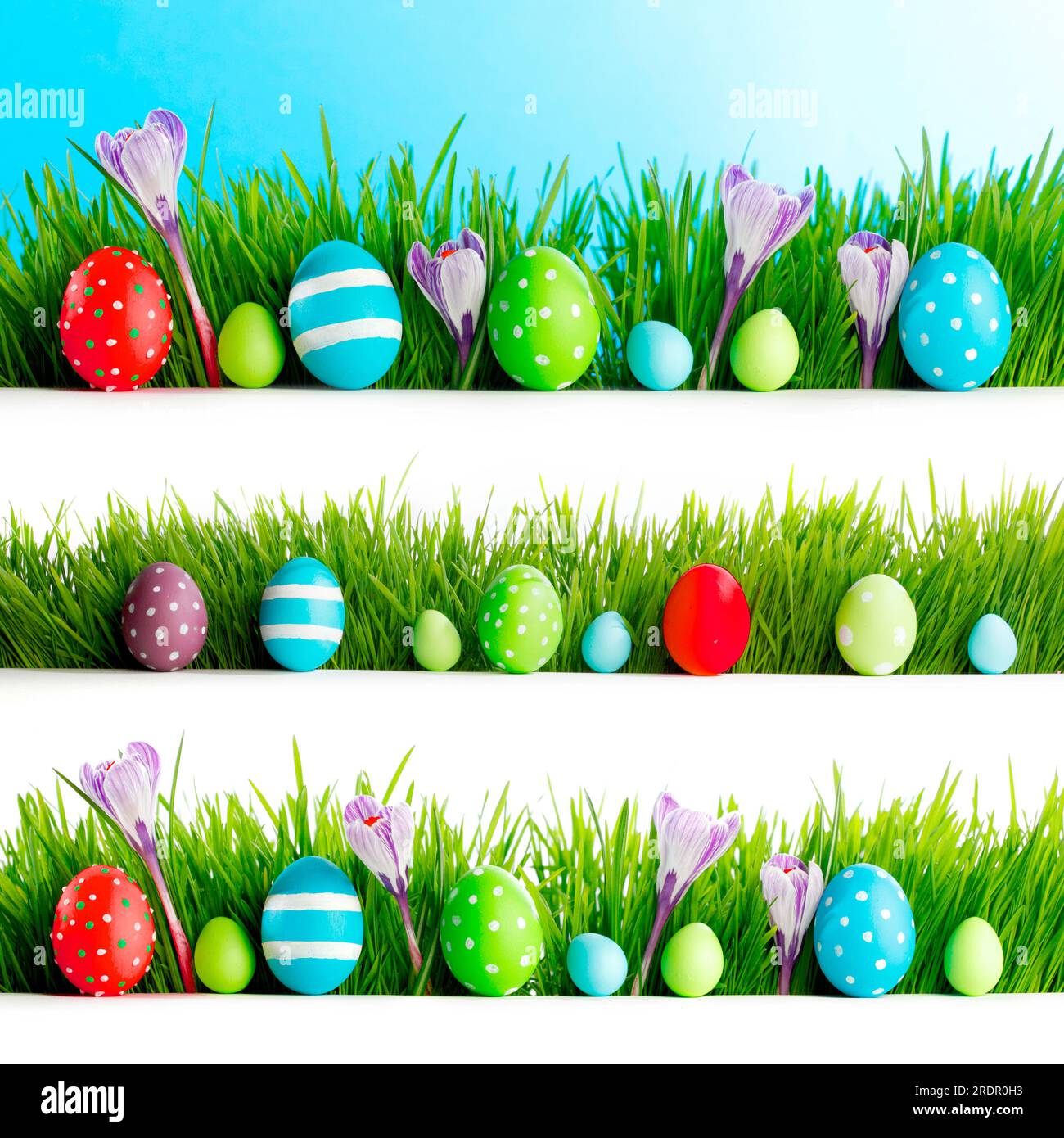 Set of easter eggs in fresh green grass isolated on white background ...