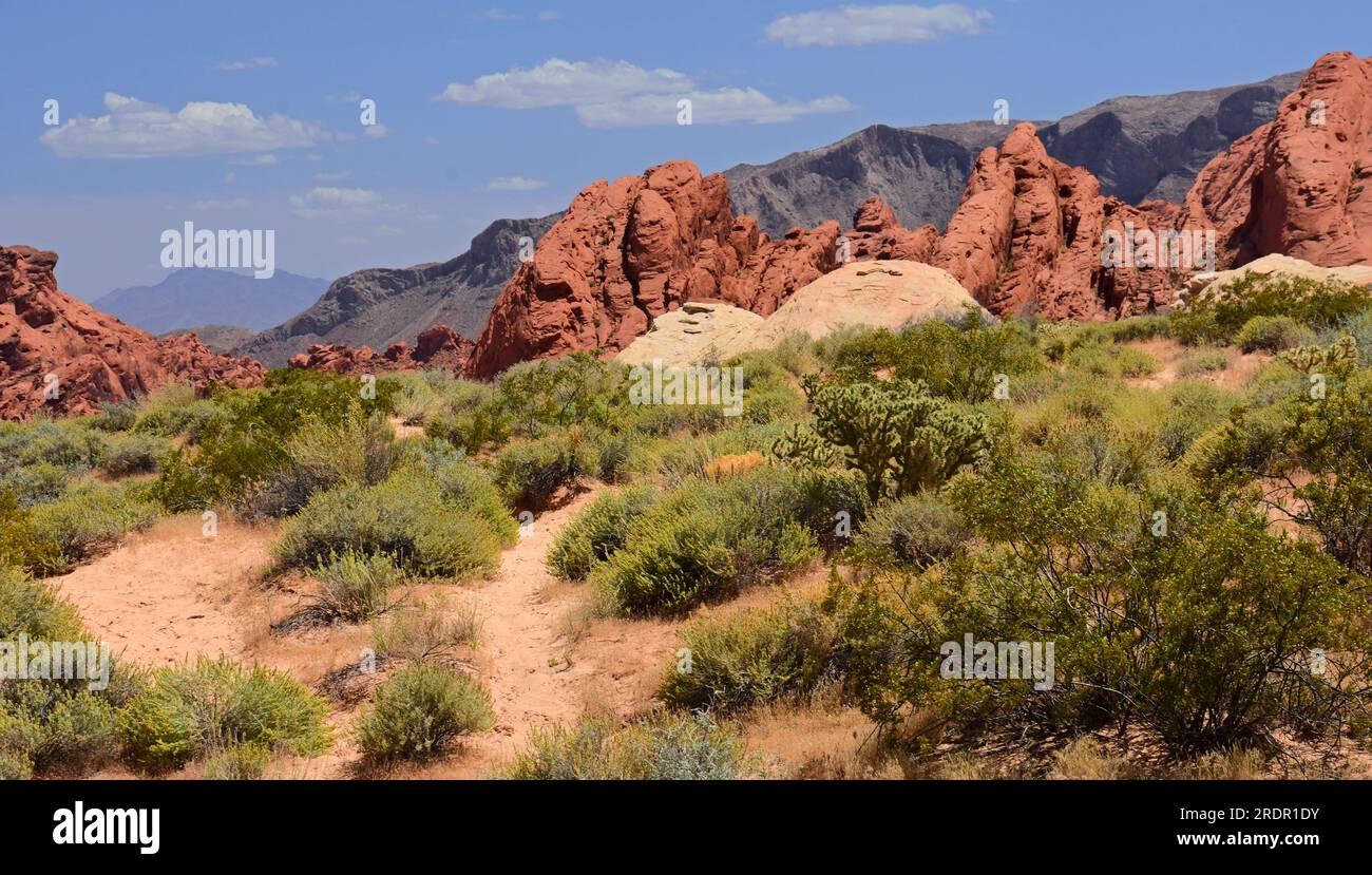 the spectacular, eroded sandstone rock formations and desert landscape
