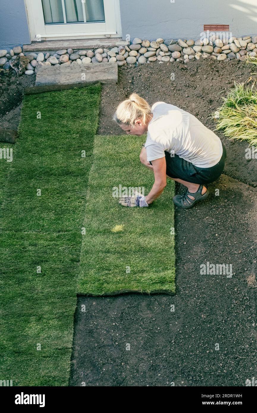 A woman works in a small garden laying rolls of new turf on prepared ground Stock Photo