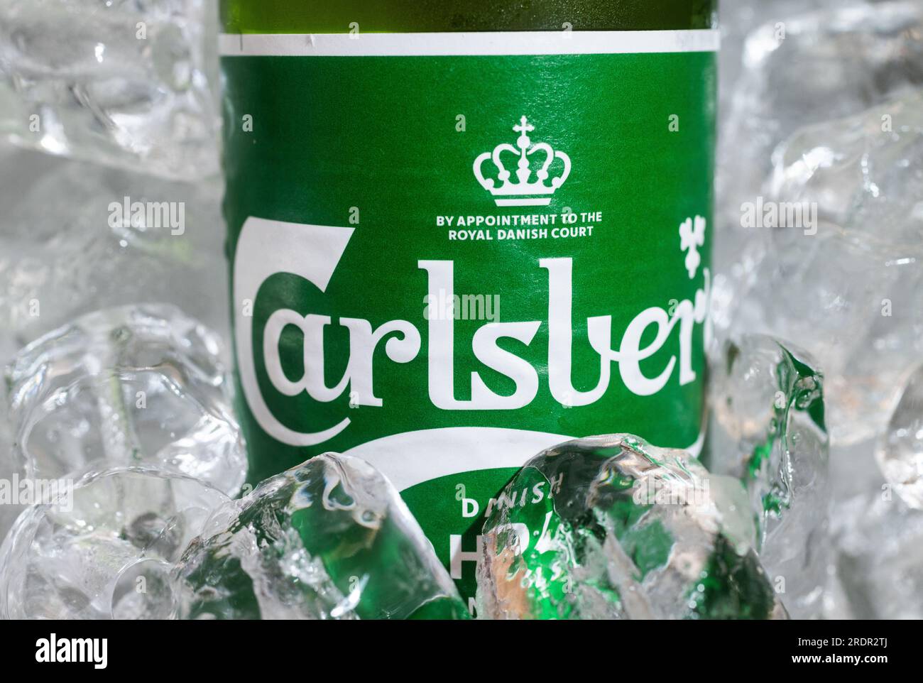 Carlsberg Beer Near You