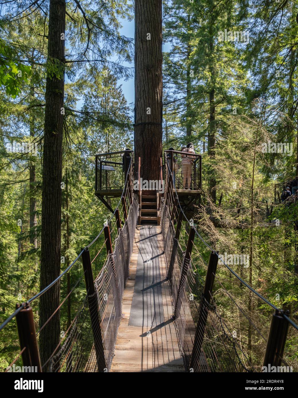 Capilano Suspension Bridge Park, Vancouver Stock Photo Alamy