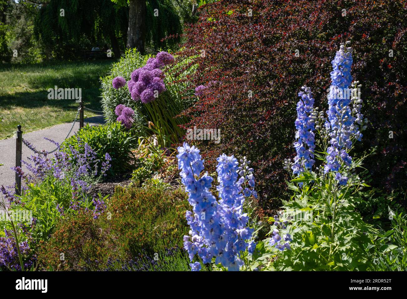Queen Elizabeth Park Stock Photo Alamy