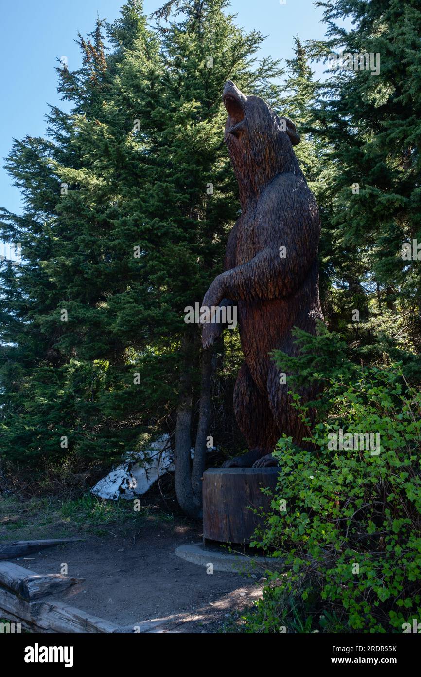 Grouse Mountain Grizzly Bear Carving Stock Photo