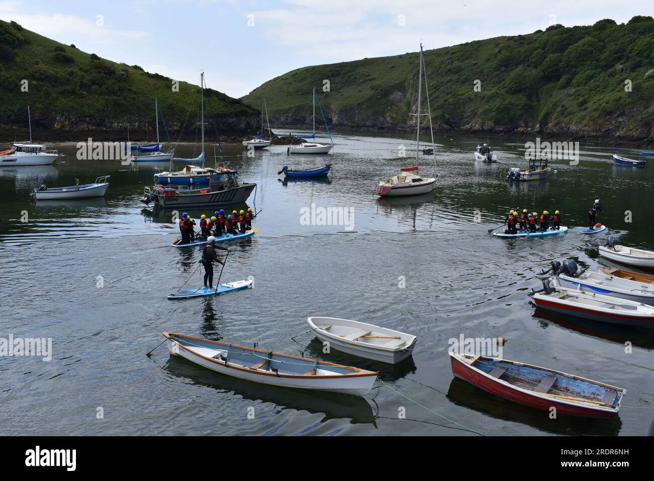 Paddleboarders heading out of the harbour, Solva, Pembrokeshire, Wales Stock Photo