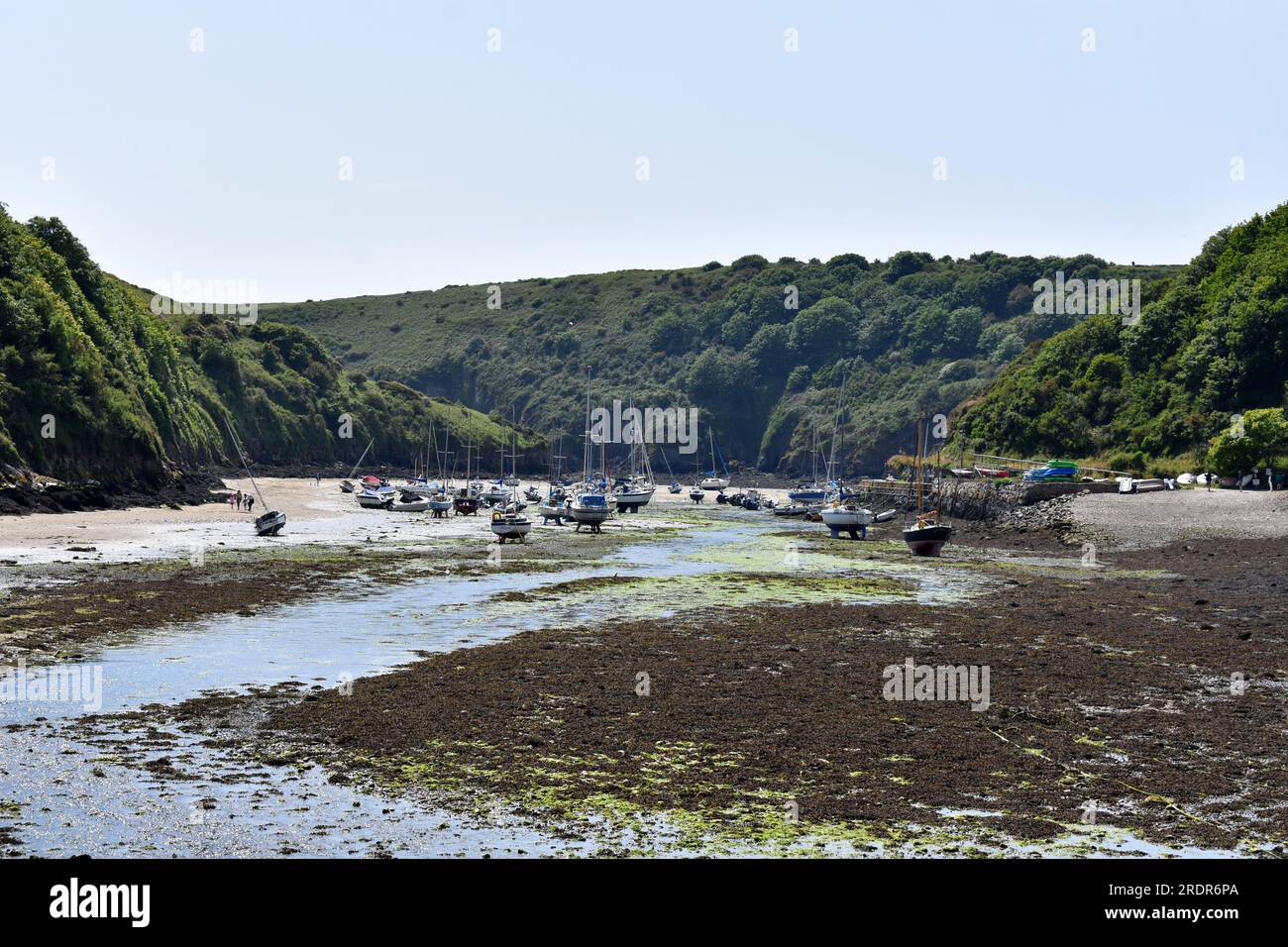 Solva harbour at low tide Stock Photo