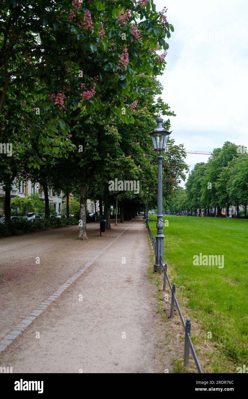 bonn-germany-may-22-2023-panoramic-view-of-the-poppelsdorfer