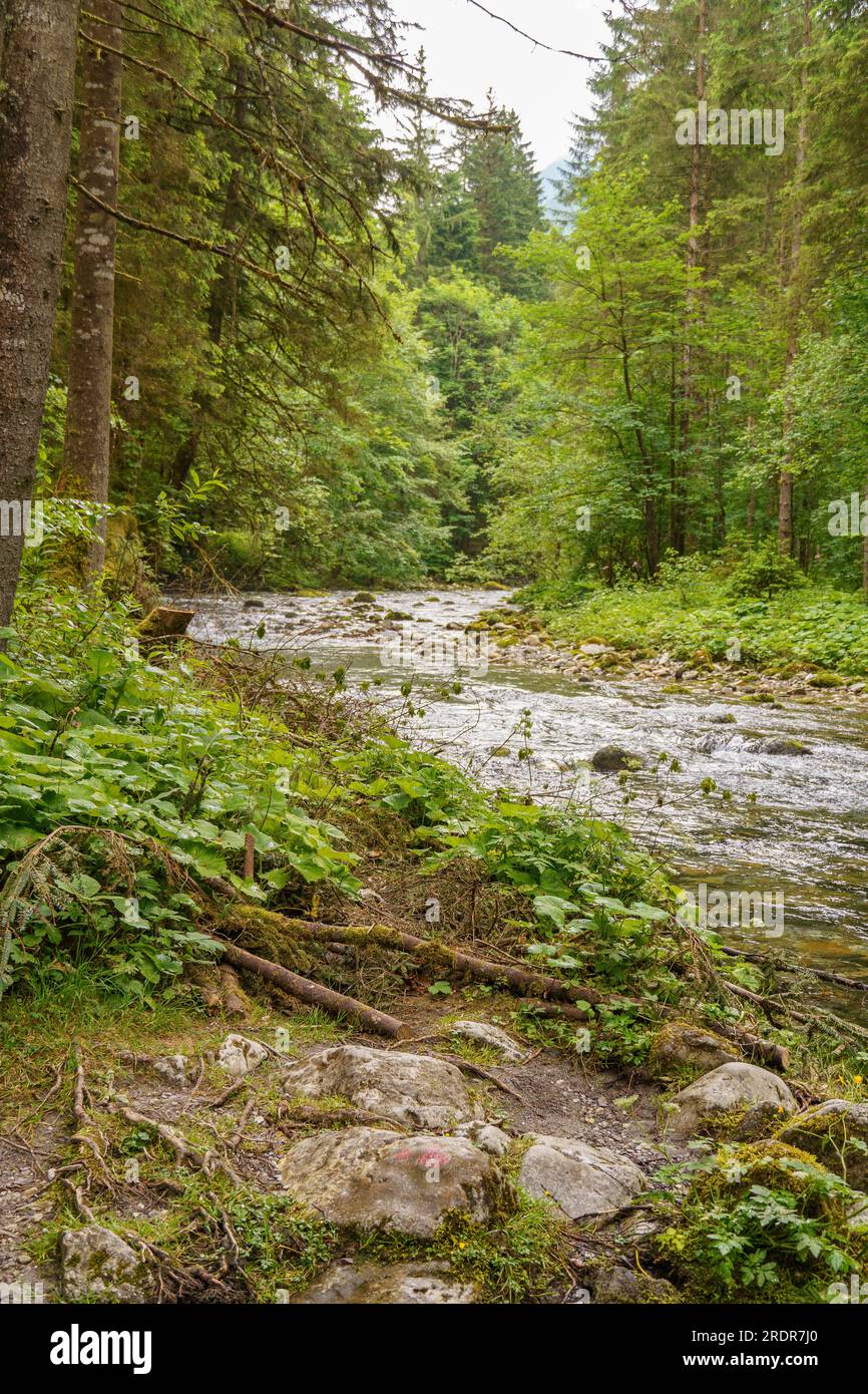 the austrian alps Stock Photo - Alamy
