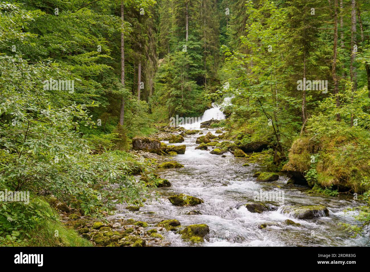 the austrian alps Stock Photo - Alamy