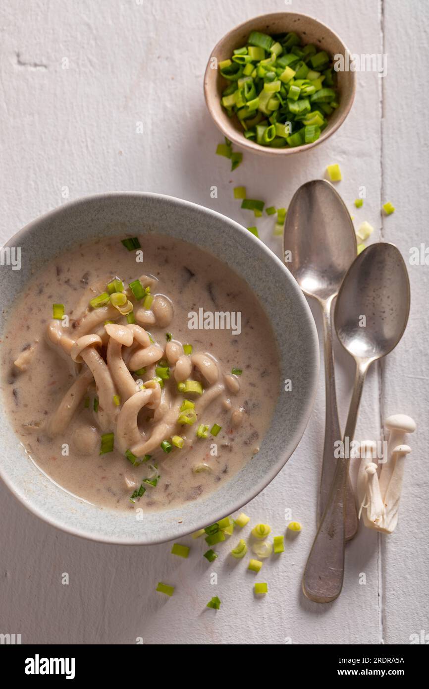 Creamy mushroom shimeji soup as Asian cuisine. Japanese mushroom soup