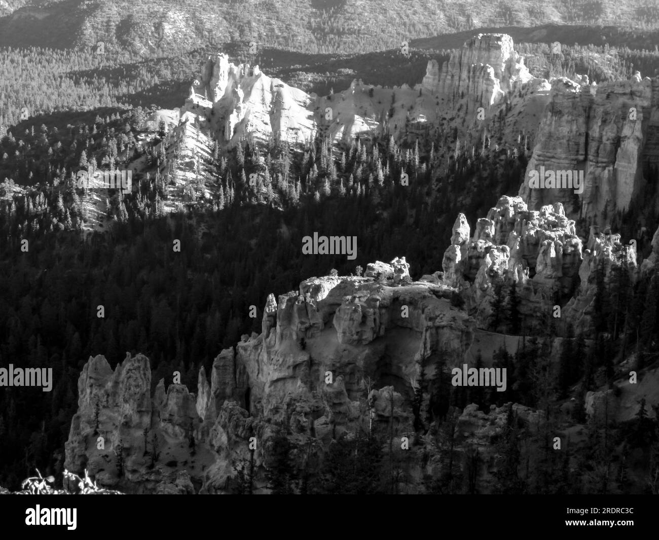 Black and white view of the Hoodoos of Bryce Canyon, with the tops illumented by the late afternoon sun Stock Photo