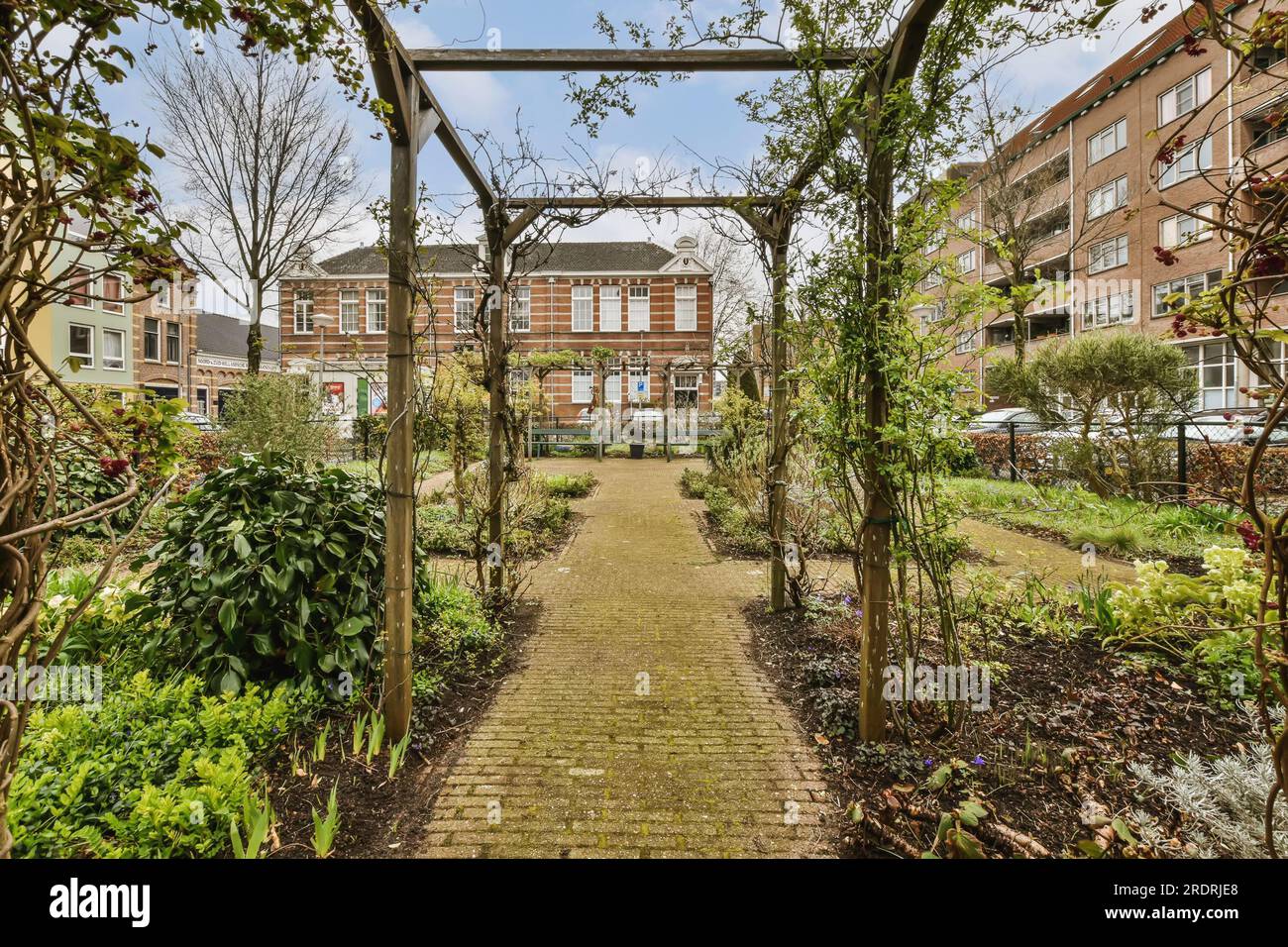 Path with trees on either side hi-res stock photography and images - Alamy