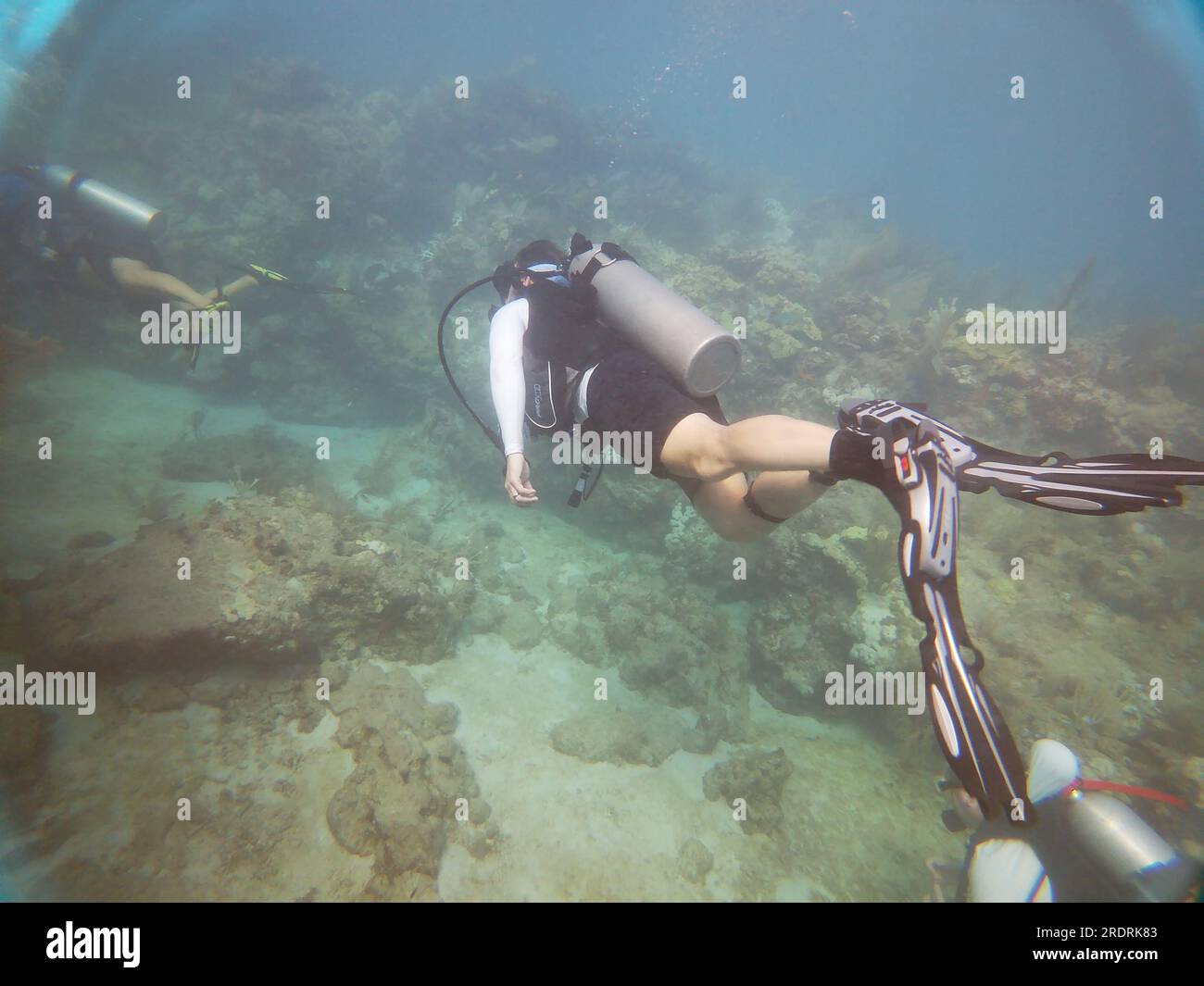 Scuba diving in the Florida Keys Stock Photo Alamy
