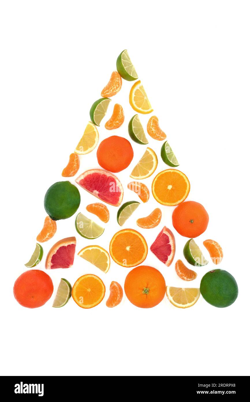 Surreal healthy citrus fruit tree concept on white background. Fun