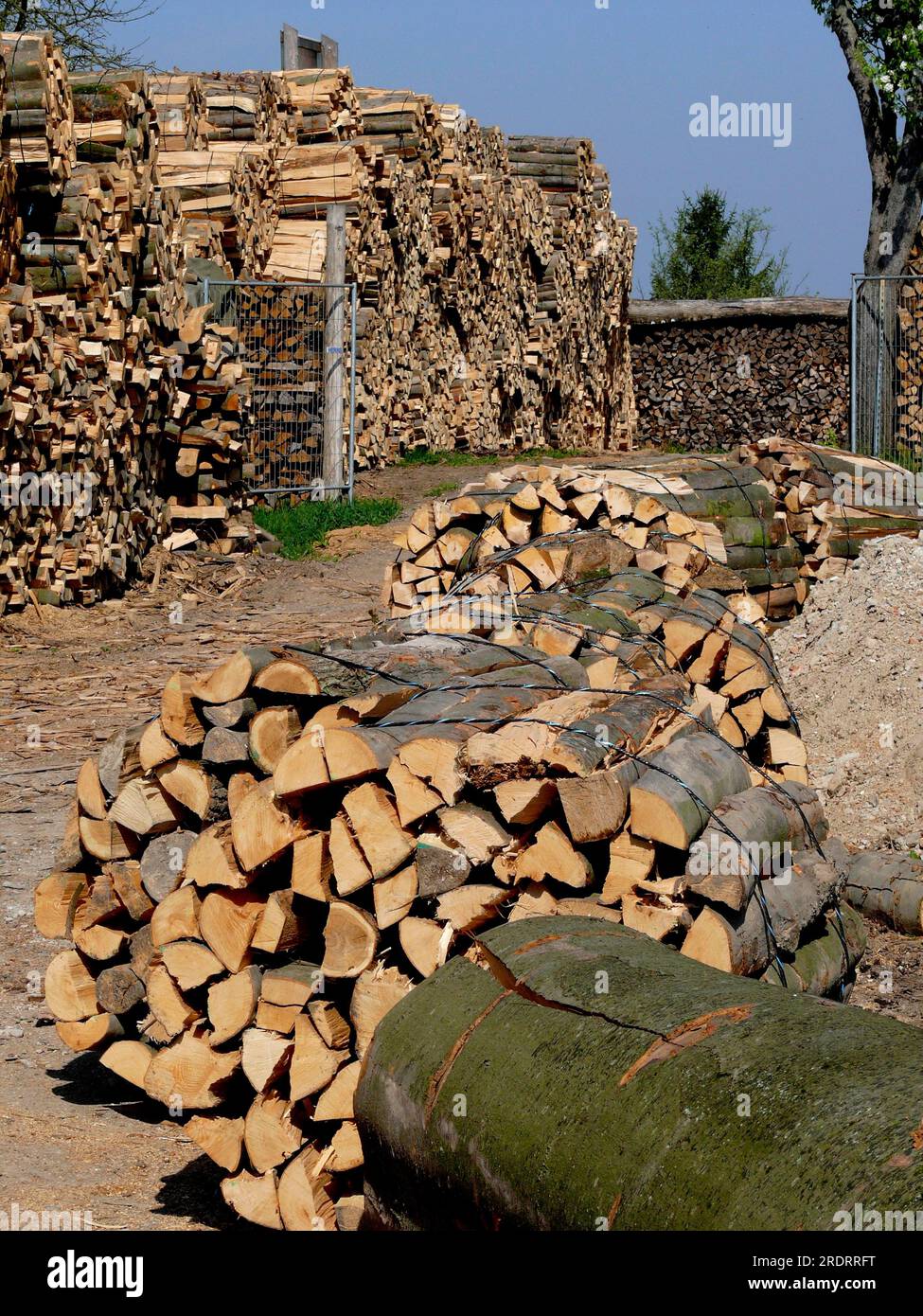 Firewood store, stacked firewood Wood store Stock Photo Alamy