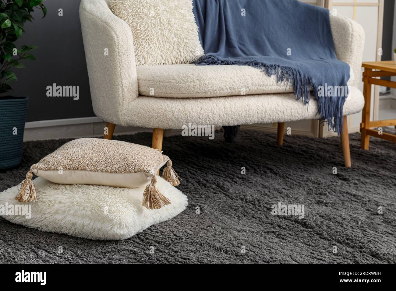 Interior of modern living room with white sofa, cushions and black