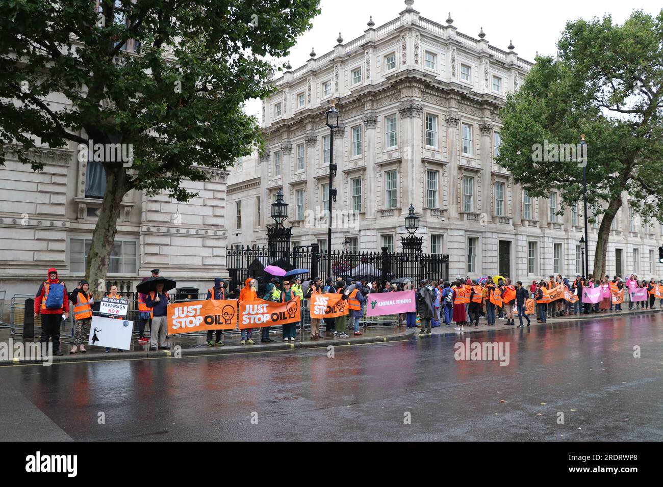 Animal Rising Protest JUST STOP OIL AND ANIMAL RISING PROTEST AT DOWNING STREET IN LONDON ON ...