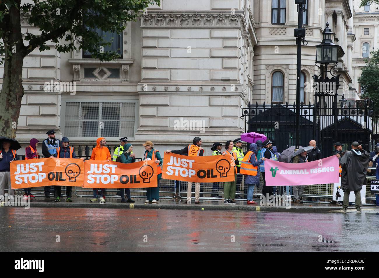 Animal Rising Protest Stop animal law hi-res stock photography and images - Alamy