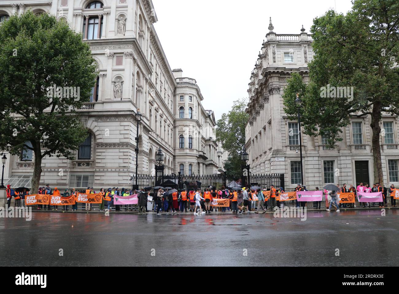 Animal Rising Protest Stop animal law hi-res stock photography and images - Alamy