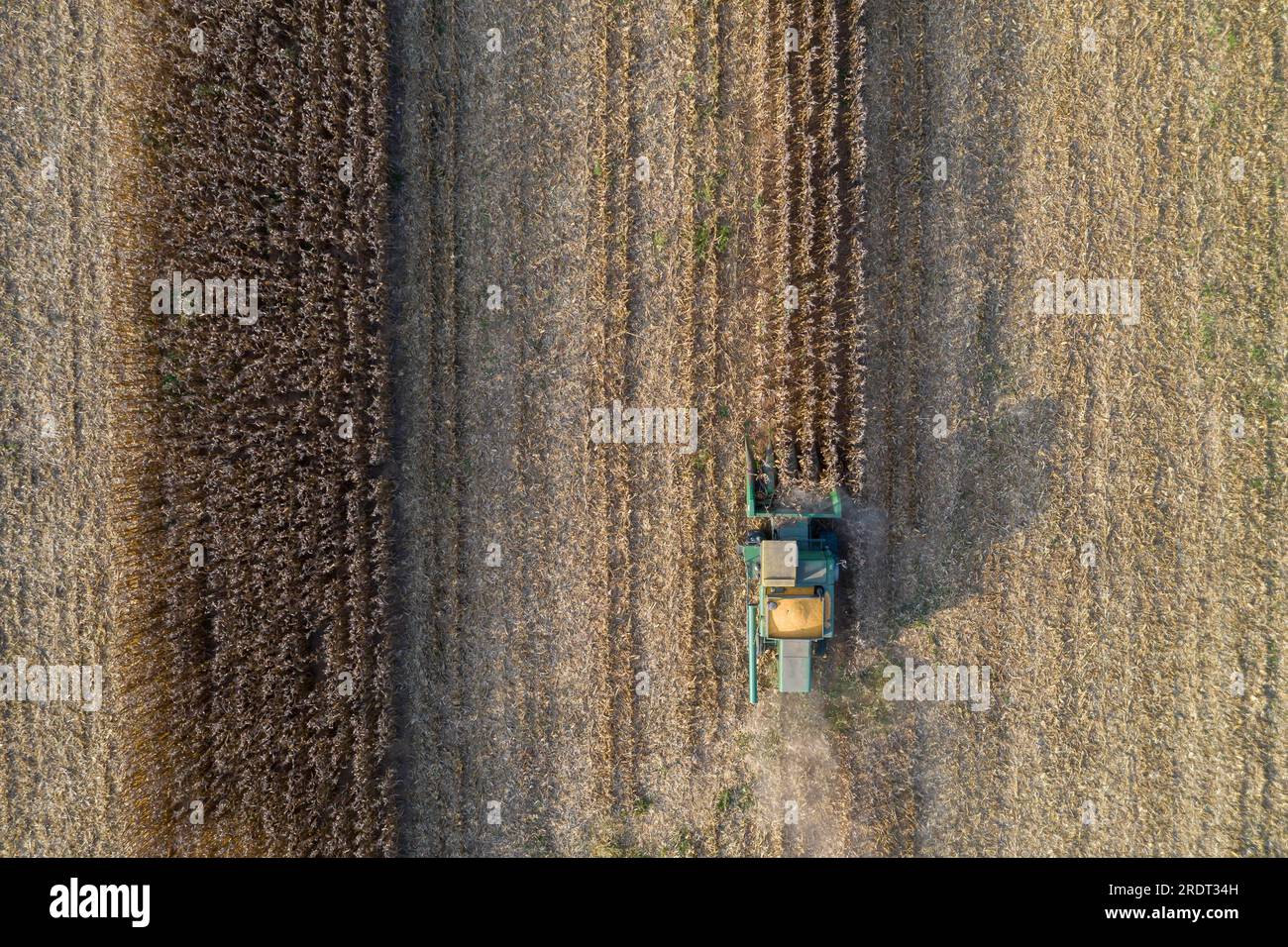 Aerial view of farmers working in a field gathering crops for consumers
