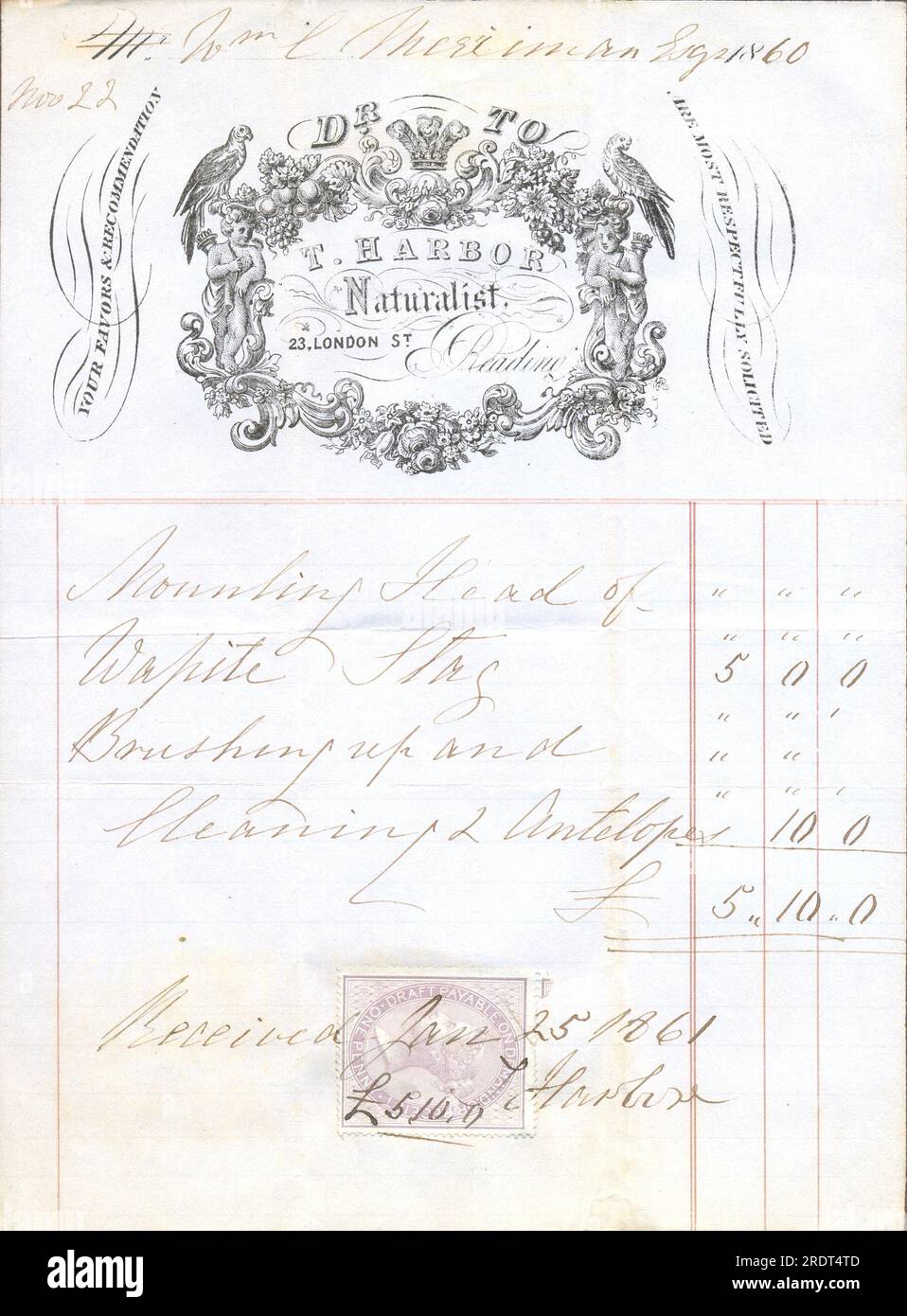 Receipted Invoice for T. Harbor,  Naturalist, 23 London Street, Reading [Berkshire]1861 Stock Photo