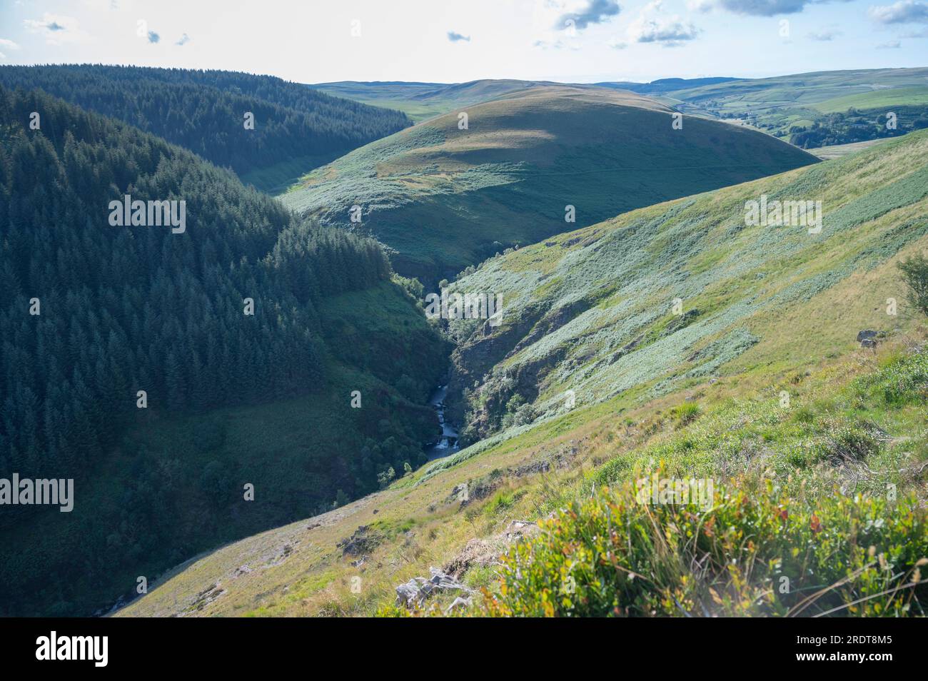 Hafod Las and Pen y Garfan forming a barren upland area between the Pysgotwr Fawr and Fach, Mid-Wales, UK Stock Photo