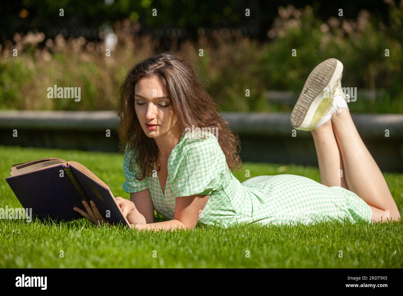 A young woman lying on her front on grass reading a book Stock Photo