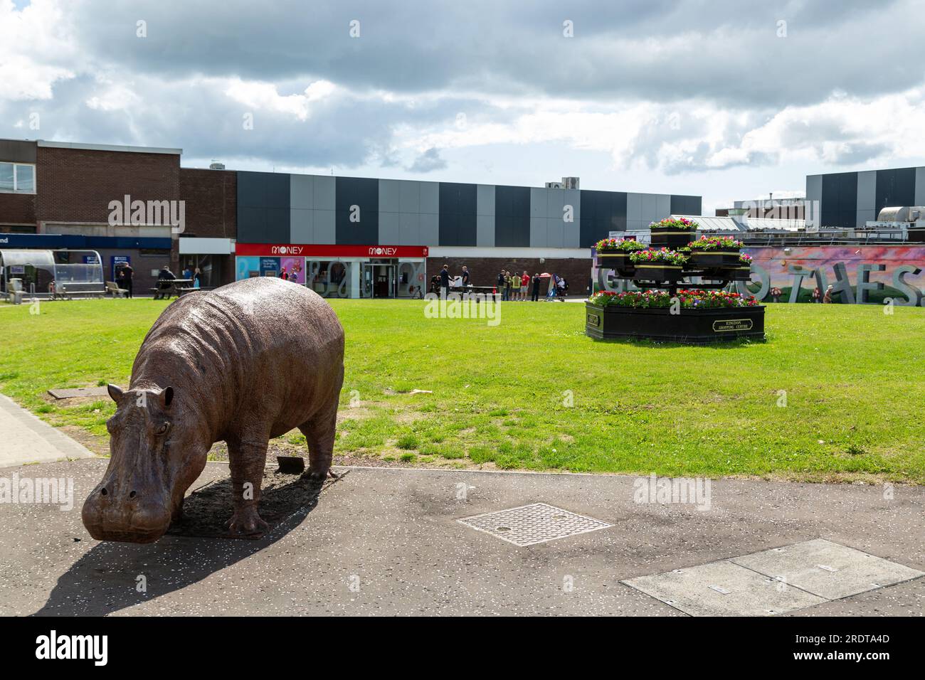 Lifesize hippopotamus by artist Rory Thomas outside the Kingdom
