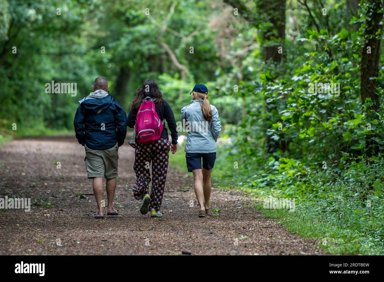 three friends walking along a trail or pathway through the woods. trail through woodland with