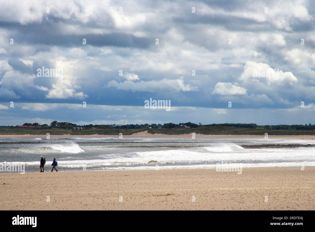 the vast beach at beadnell bay on the northumberland coast at low tide Stock Photo
