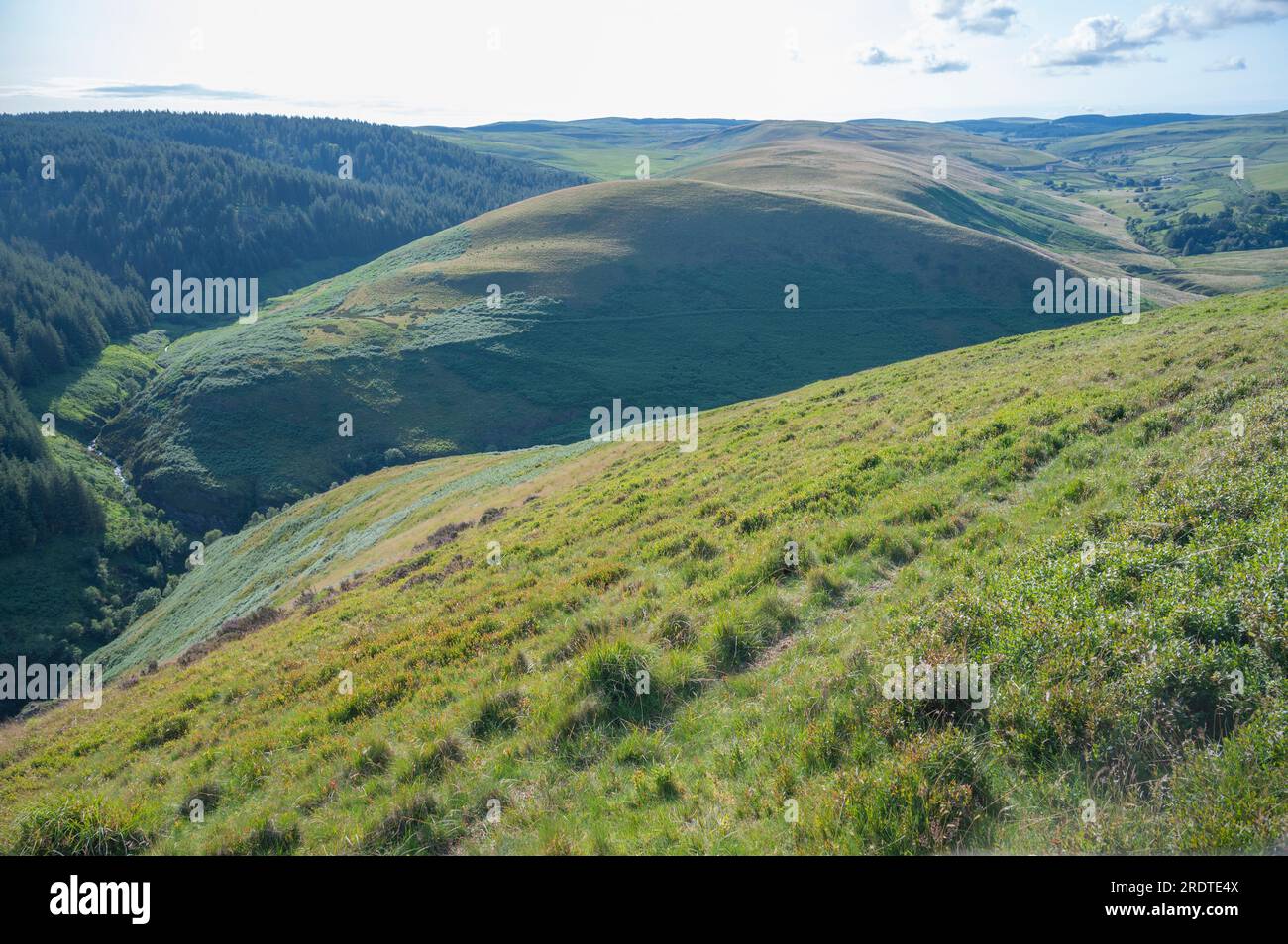 Hafod Las and Pen y Garfan forming a barren upland area between the Pysgotwr Fawr and Fach, Mid-Wales, UK Stock Photo