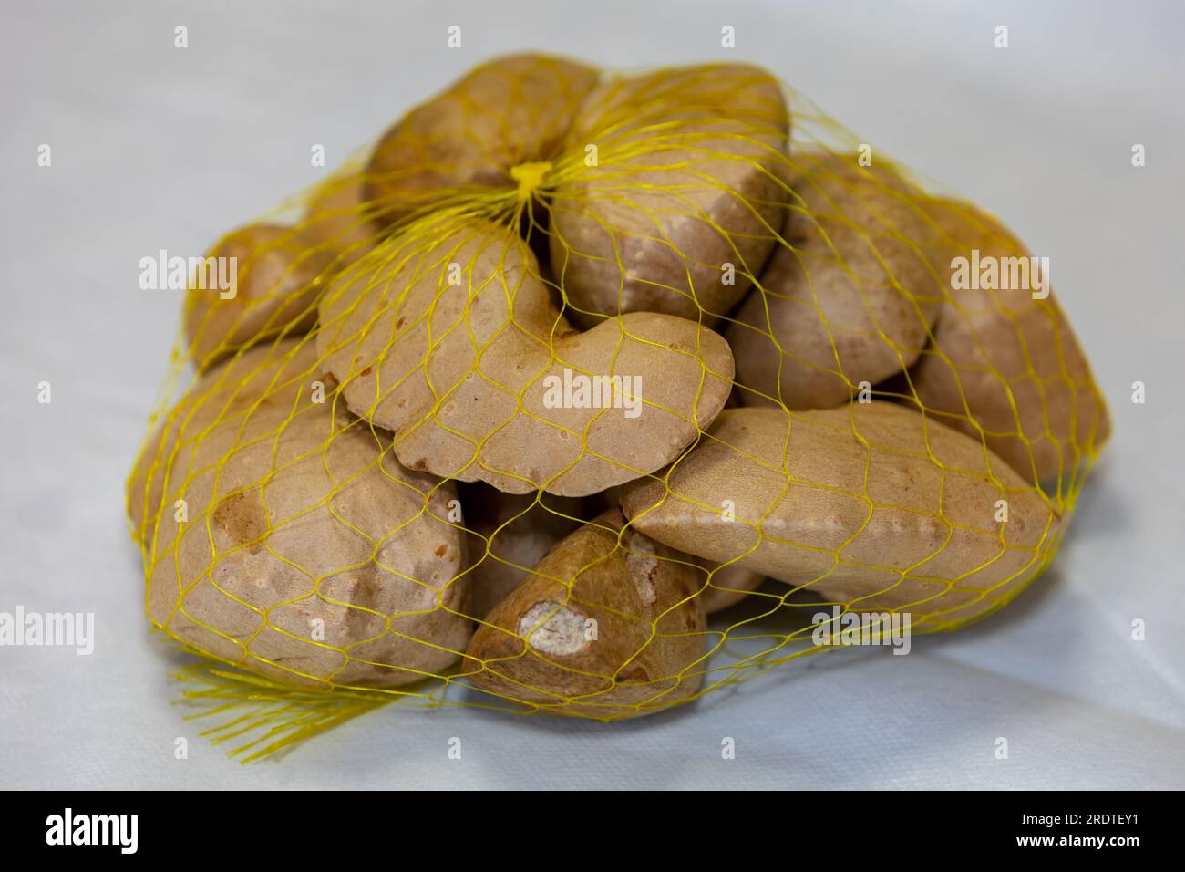 Edible bulb of the plant (Dioscorea bulbifera) originally from Africa and known as "cará moela