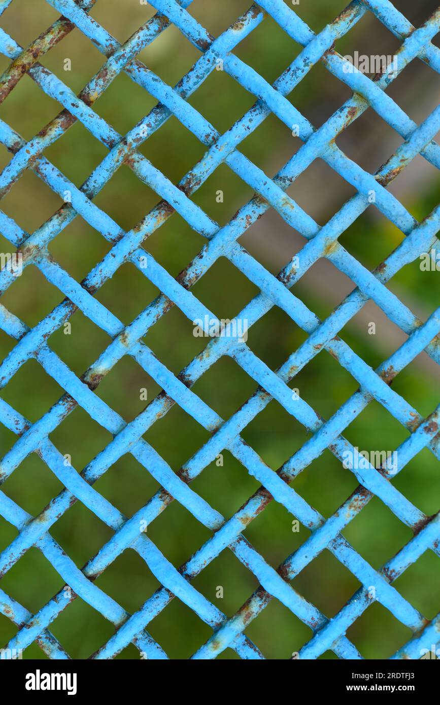Iron painted mesh. Blue metal mesh close-up. iron fence. Stock Photo