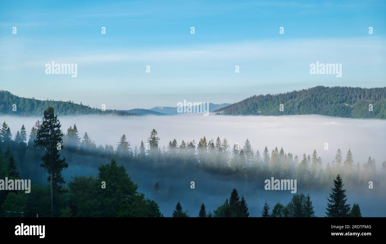 Foggy sunrise over the mountain valley. Landscape at dawn with low thick fog over trees. Morning mist haze Stock Photo
