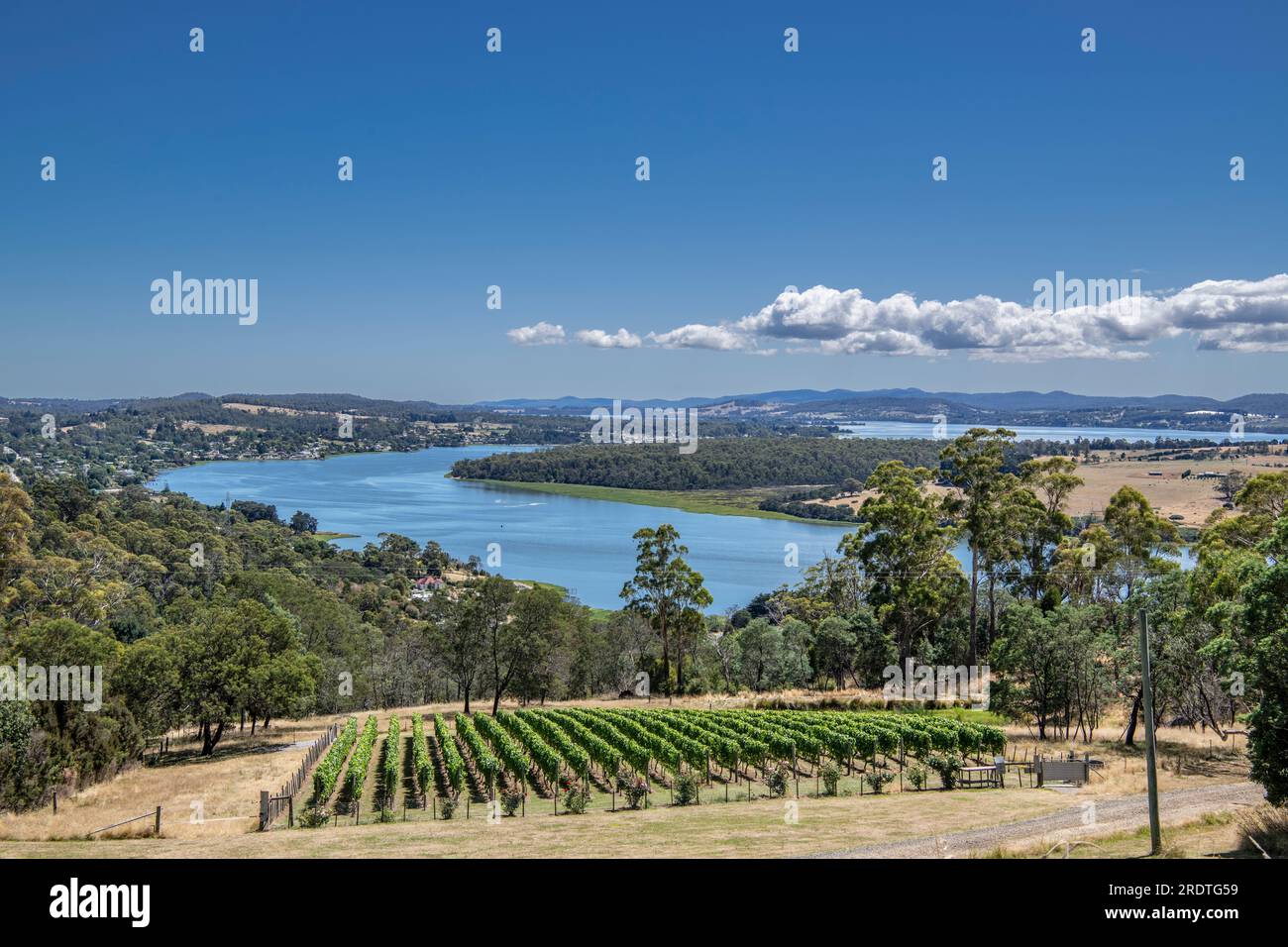 Vineyard and Tamar River Tasmania Australia Stock Photo