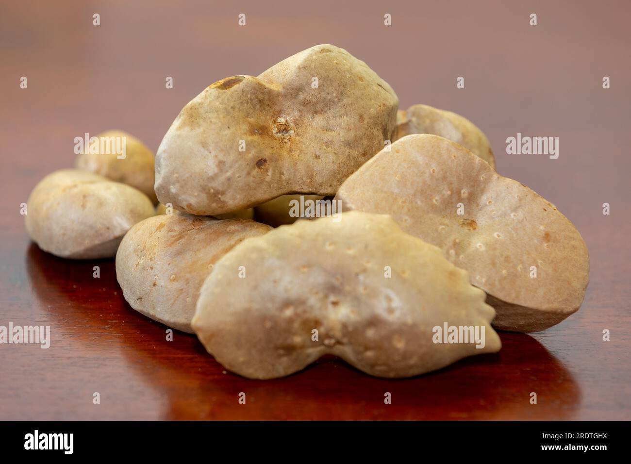 Edible bulb of the plant (Dioscorea bulbifera) originally from Africa