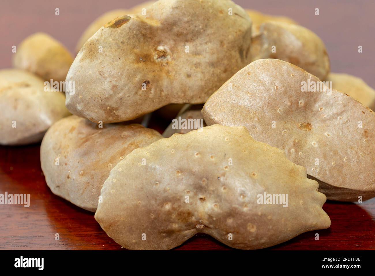 Edible bulb of the plant (Dioscorea bulbifera) originally from Africa and known as "cará moela