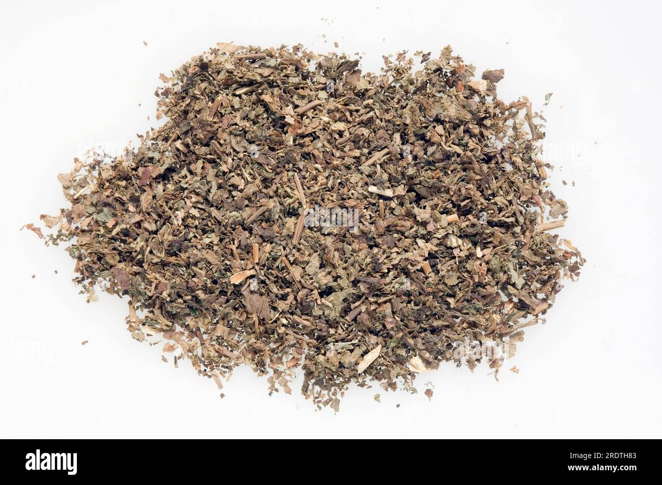 Dried Patchouli (Pogostemon cablin), Patchouly, Pachouli, burn incense, esotericism, aroma therapy, cut out, object Stock Photo