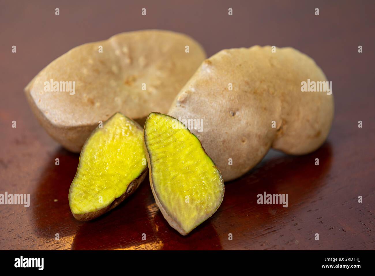 Edible bulb of the plant (Dioscorea bulbifera) originally from Africa and known as "cará moela" Stock Photo