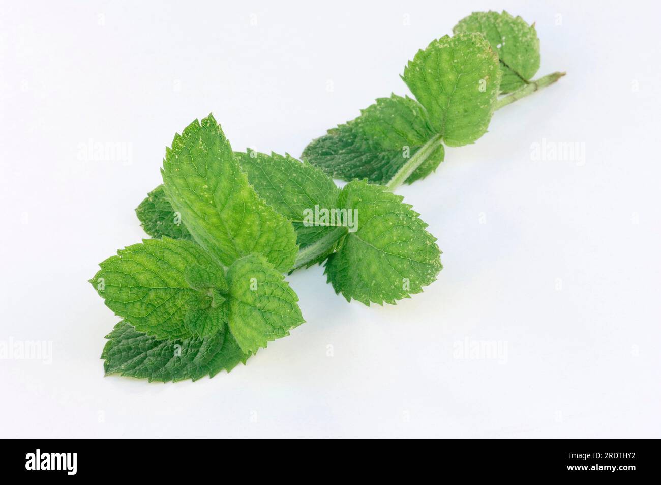 Ular ziyofatda sikishadi Grushevskiy kochasidagi fohishalar