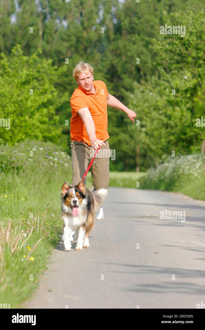 Australian shepherd leash 2025